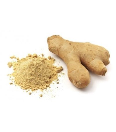 Racine de gingembre frais سكنجبير خضر