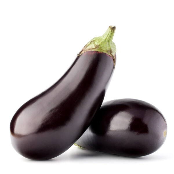 AUBERGINE - باذنجان | ouifrais