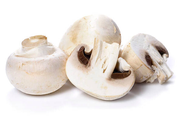 CHAMPIGNON BLANC -فطر أبيض