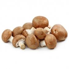 CHAMPIGNONS DE PARIS MARRON