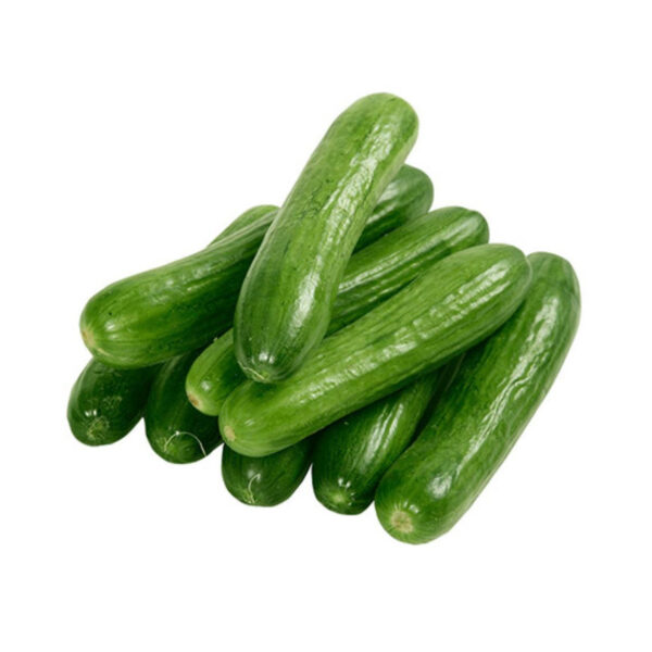 Concombre خيال عراق