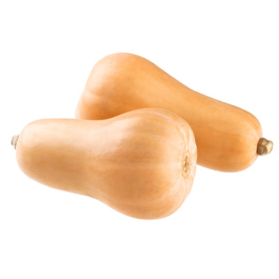 COURGE BUTTERNUT – يقطينة طويلة