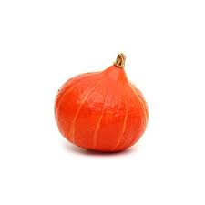 COURGE POTIMARRON -يقطين صغير