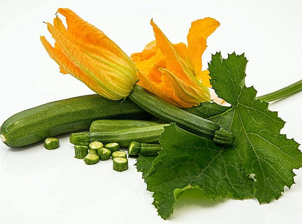 COURGETTE – كرعة كوري