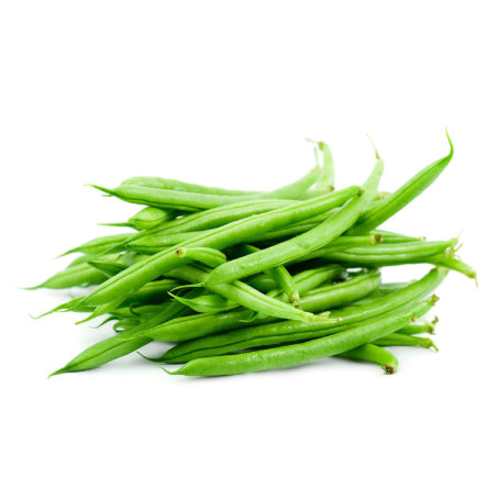 HARICOT VERT – لوبيا خضراء