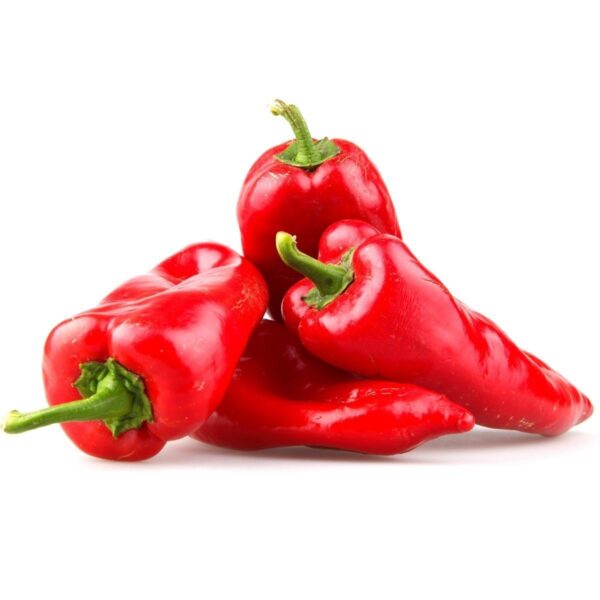 POIVRON ROUGE BELDI – فلفل أحمر بلدي