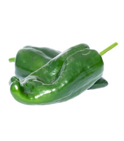POIVRON VERT – فلفل أخضر