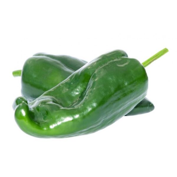 POIVRON VERT – فلفل أخضر