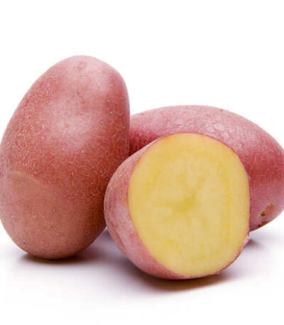 POMME DE TERRE ROUGE – البطاطس الحمراء