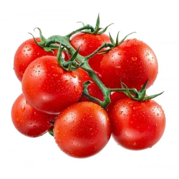 TOMATE CERISE ROUGE