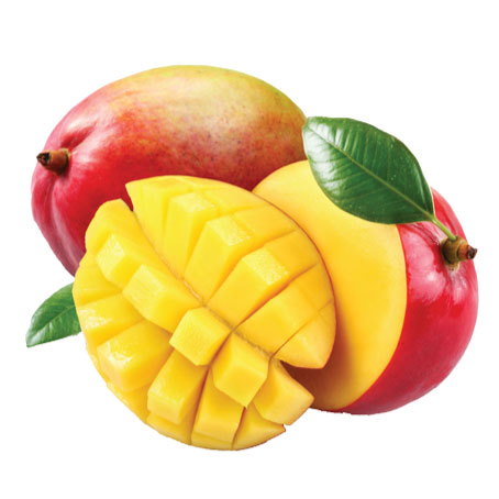 MANGUE – مانغو