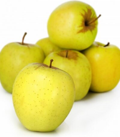 POMME A JUS -تفاح العصير